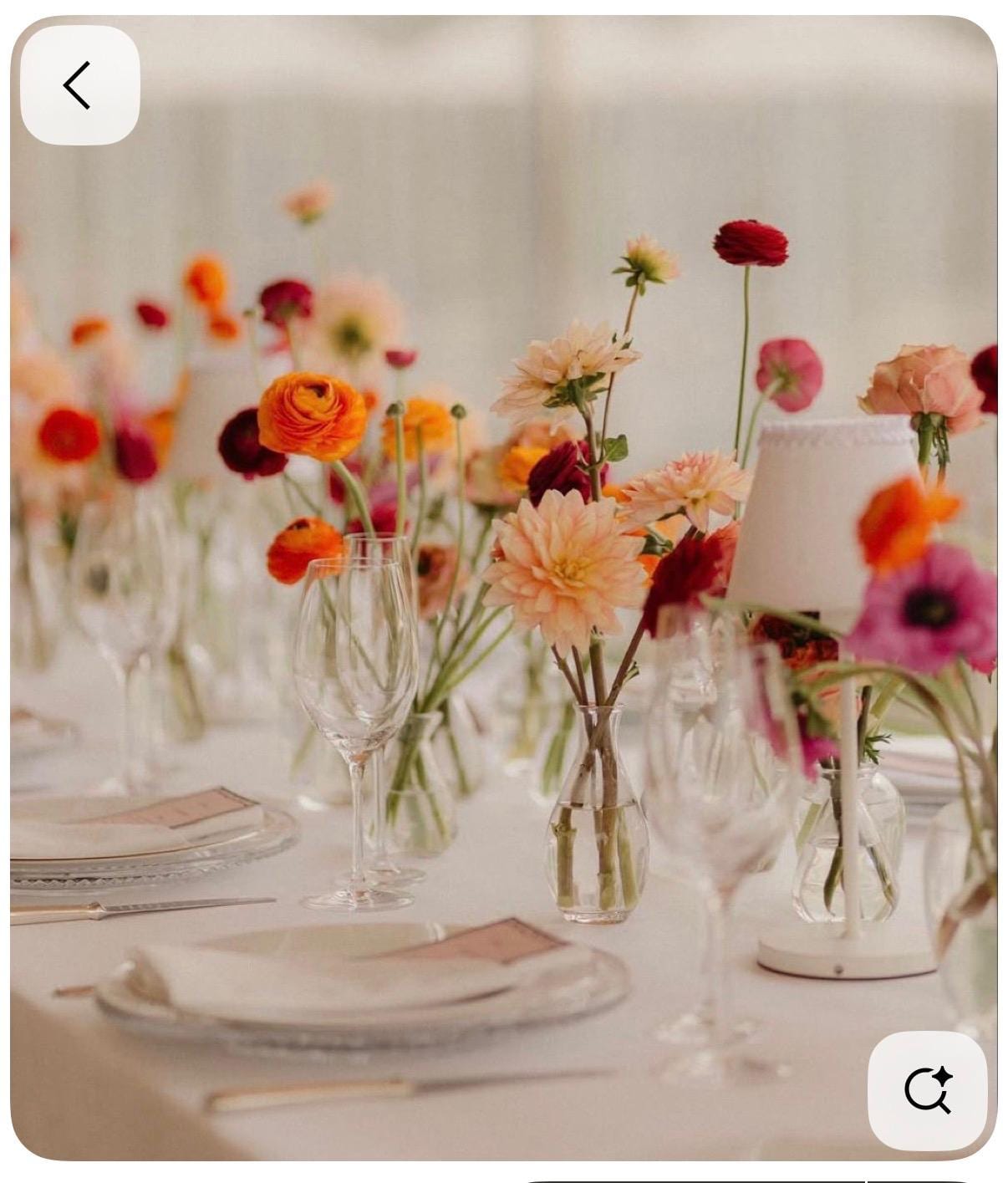 Ludi Event Saumur, Wedding planner à Vaulandry