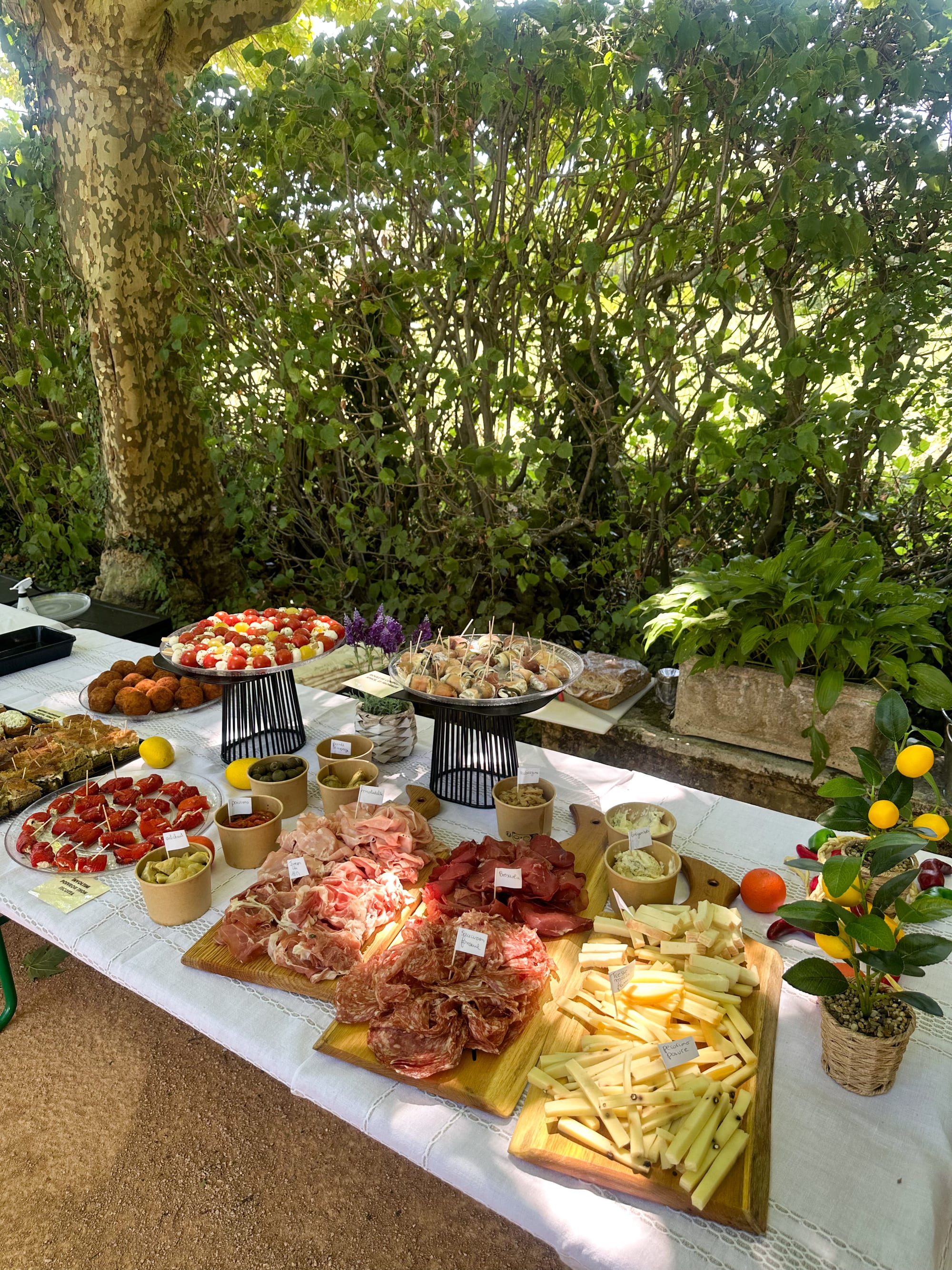 MANGIA FORTE, Traiteur à DARDILLY